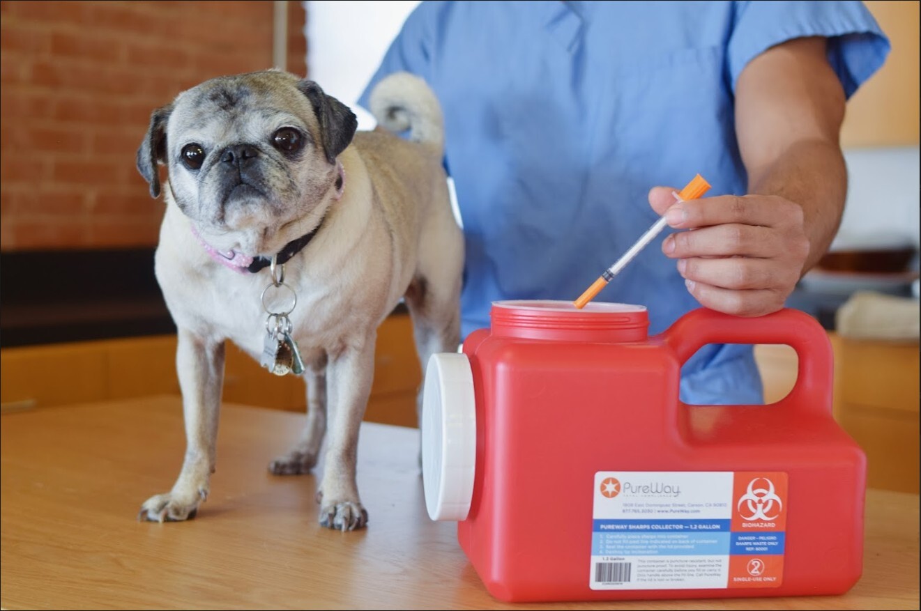 Vet Medical Waste Disposal