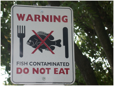 fishcontaminated.png